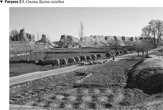 Иллюстрация к книге — Утраченное Просвещение. Золотой век Центральной Азии от арабского завоевания до времен Тамерлана [i_006.jpg]