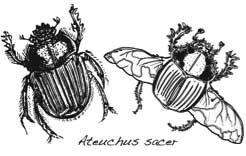 Иллюстрация к книге — Седьмая казнь [i_006.jpg]