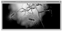 Иллюстрация к книге — Седьмая казнь [i_012.jpg]