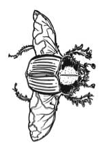 Иллюстрация к книге — Седьмая казнь [i_013.jpg]