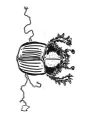 Иллюстрация к книге — Седьмая казнь [i_014.jpg]