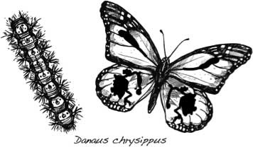 Иллюстрация к книге — Седьмая казнь [i_036.jpg]