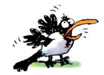 Иллюстрация к книге — Неандертальский мальчик, или Большой поход [i_062.jpg]