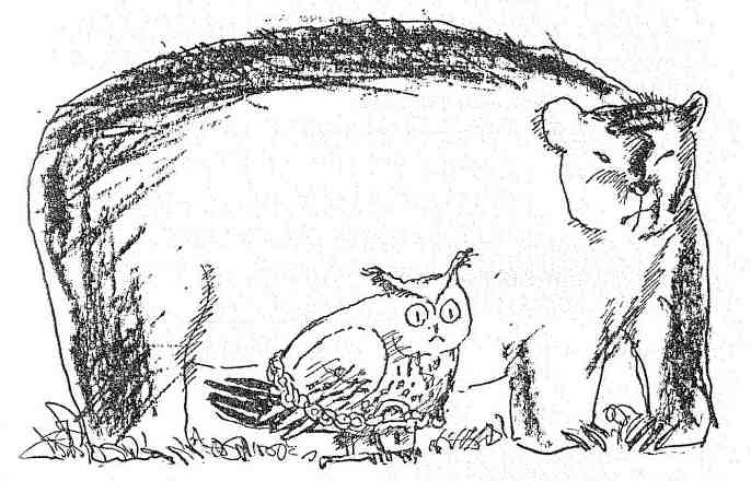 Иллюстрация к книге — Бесстрашный Пекка [i_009.jpg]