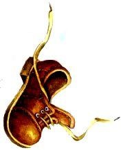 Иллюстрация к книге — Господин Куцехвост и подземное чудовище [pic_20.jpg]