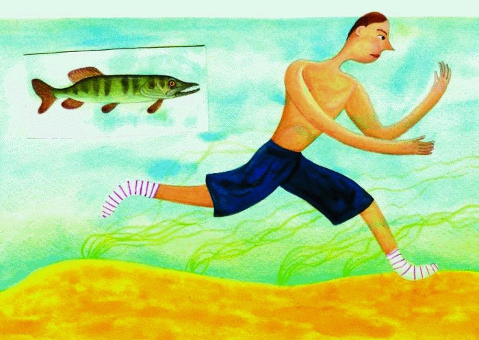 Иллюстрация к книге — Дом дворников. Сказочные истории [_17_01.jpg]