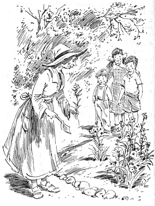 Иллюстрация к книге — Помело и волшебная шишечка от кровати [i_013.jpg]