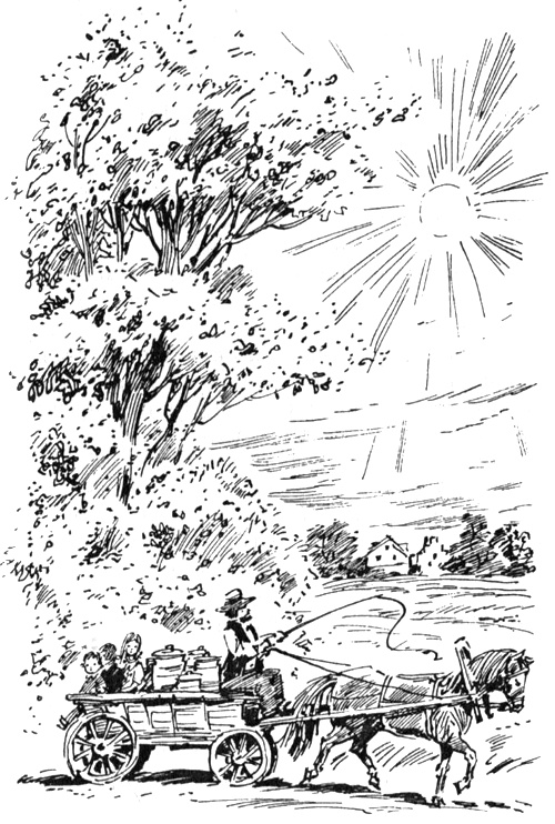 Иллюстрация к книге — Помело и волшебная шишечка от кровати [i_020.jpg]