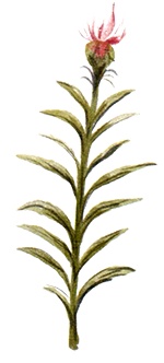 Иллюстрация к книге — Мой папа – мальчик [i_005.jpg]