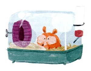 Иллюстрация к книге — Мой папа – мальчик [i_023.jpg]