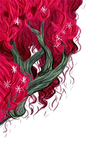 Иллюстрация к книге — Мой папа – мальчик [i_026.jpg]