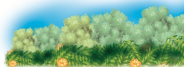 Иллюстрация к книге — Не будите спящего ленивца! [i_019.jpg]