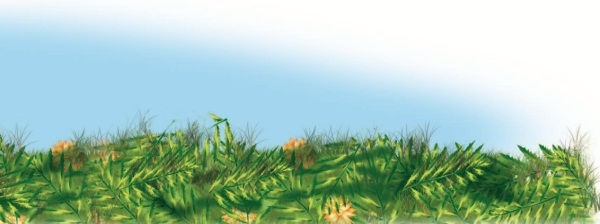 Иллюстрация к книге — Не будите спящего ленивца! [i_036.jpg]