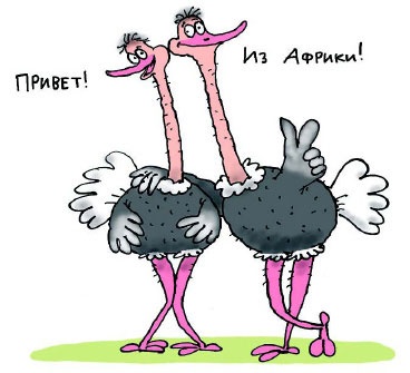 Иллюстрация к книге — Сказка с подробностями [i_064.jpg]