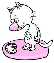 Иллюстрация к книге — Сказка с подробностями [i_132.jpg]