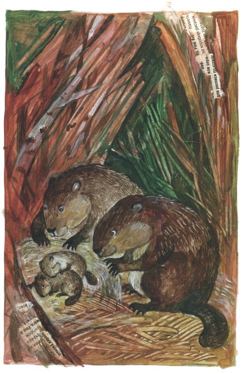 Иллюстрация к книге — Торпи [i_004.jpg]