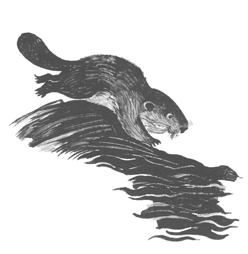 Иллюстрация к книге — Торпи [i_008.jpg]