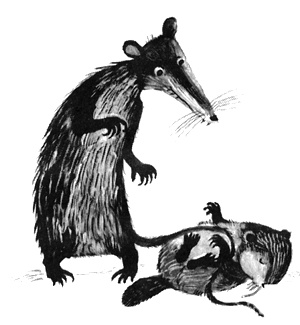 Иллюстрация к книге — Торпи [i_013.jpg]