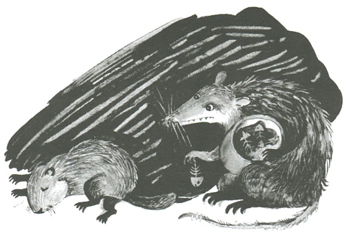 Иллюстрация к книге — Торпи [i_016.jpg]