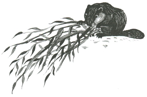 Иллюстрация к книге — Торпи [i_017.jpg]