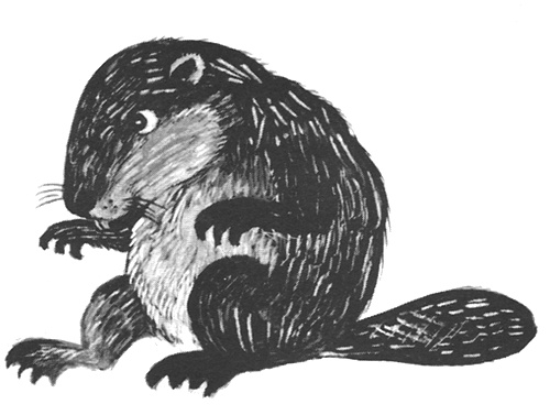 Иллюстрация к книге — Торпи [i_027.jpg]