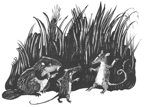 Иллюстрация к книге — Торпи [i_028.jpg]