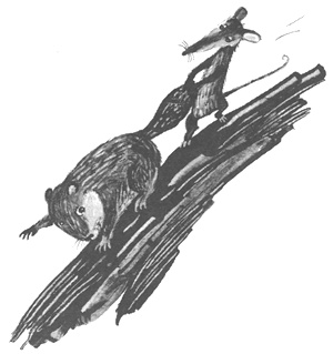 Иллюстрация к книге — Торпи [i_033.jpg]