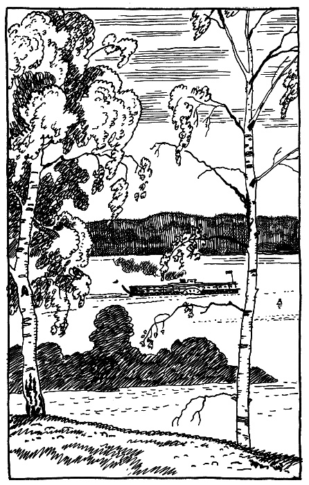 Иллюстрация к книге — Стальное колечко (сборник) [st_kol12.jpg]