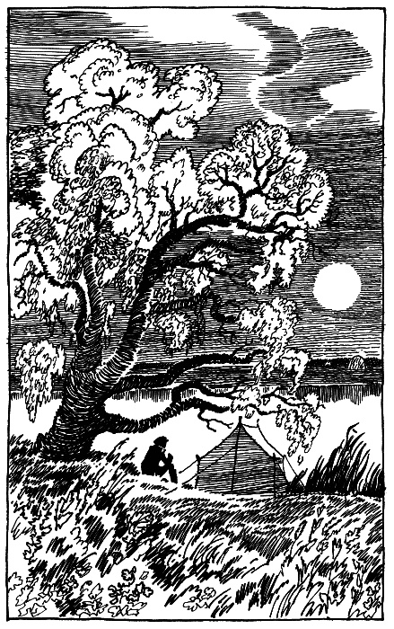 Иллюстрация к книге — Стальное колечко (сборник) [st_kol16.jpg]