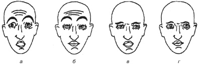 Иллюстрация к книге — Эмоции и чувства [i_009.jpg]