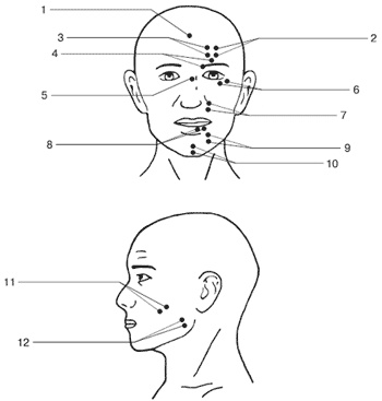 Иллюстрация к книге — Эмоции и чувства [i_116.jpg]
