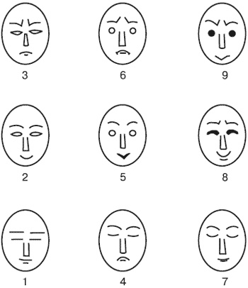 Иллюстрация к книге — Эмоции и чувства [i_129.jpg]