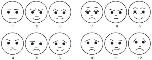 Иллюстрация к книге — Эмоции и чувства [i_203.jpg]