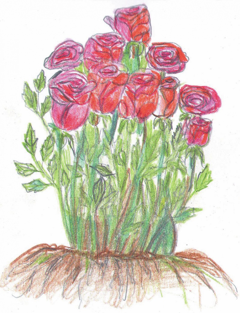 Иллюстрация к книге — Рисуночные тесты в психологии. Диагностика, самопознание, релаксация [_22.jpg]