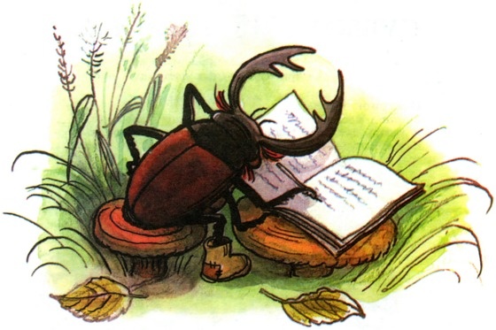 Иллюстрация к книге — Дневник кузнечика Кузи [dkk_p03.jpg]