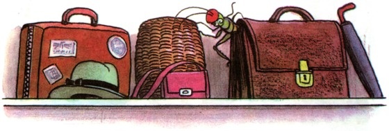 Иллюстрация к книге — Дневник кузнечика Кузи [dkk_p07.jpg]