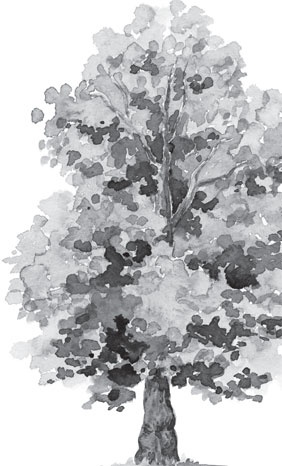 Иллюстрация к книге — Русский лес. С вопросами и ответами для почемучек [_18.jpg]