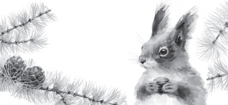 Иллюстрация к книге — Русский лес. С вопросами и ответами для почемучек [_4.jpg]