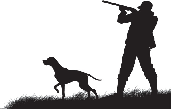 Иллюстрация к книге — Русский лес. С вопросами и ответами для почемучек [_40.jpg]