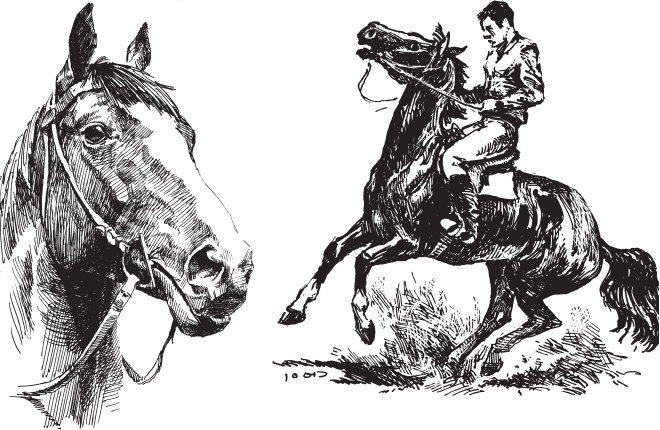 Иллюстрация к книге — Русский лес. С вопросами и ответами для почемучек [_44.jpg]