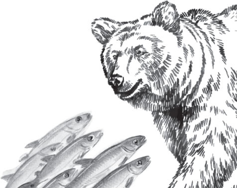 Иллюстрация к книге — Русский лес. С вопросами и ответами для почемучек [_48.jpg]