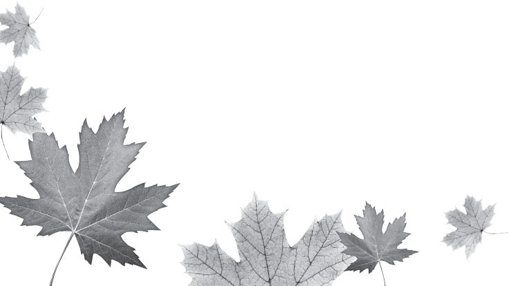 Иллюстрация к книге — Русский лес. С вопросами и ответами для почемучек [_7.jpg]