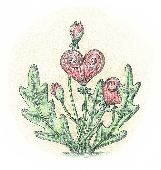 Иллюстрация к книге — Карамельное дерево [i_016.jpg]