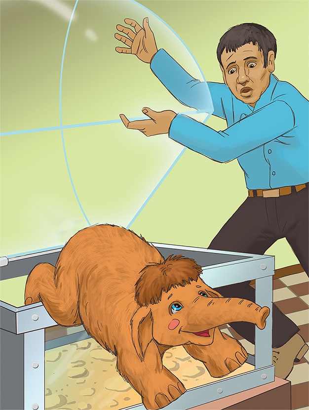 Иллюстрация к книге — Мамонтенок из прошлого [i_034.jpg]