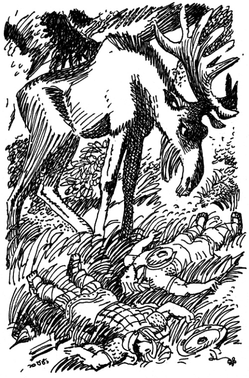 Иллюстрация к книге — И настанет веселое утро [i_028.jpg]