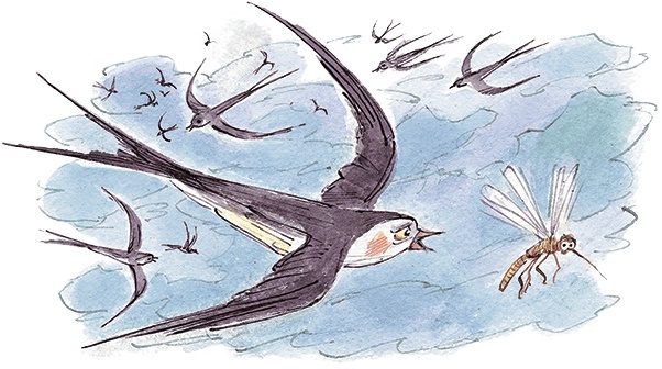 Иллюстрация к книге — Маруся ещё вернётся [i_010.jpg]