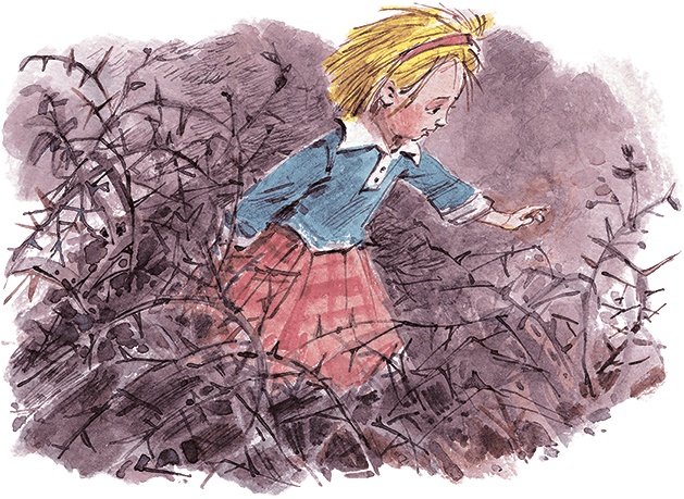 Иллюстрация к книге — Маруся ещё вернётся [i_018.jpg]