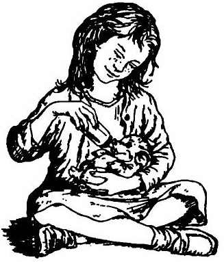 Иллюстрация к книге — Паутинка Шарлотты [i_003.jpg]