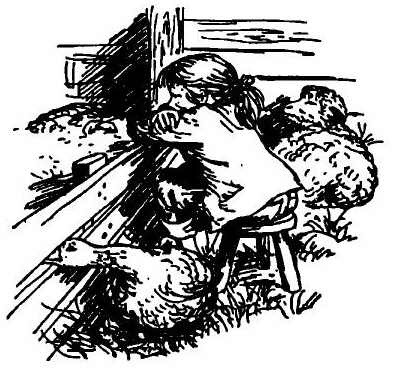 Иллюстрация к книге — Паутинка Шарлотты [i_007.jpg]