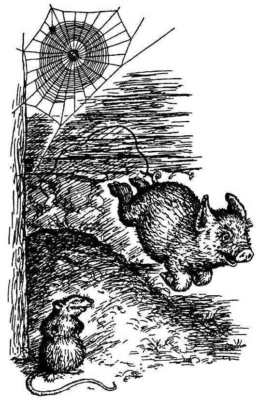 Иллюстрация к книге — Паутинка Шарлотты [i_017.jpg]